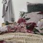 Logan & Mason Cherub Quilt Cover Set | Super King | Rose