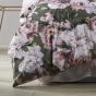 Platinum Logan & Mason Camilla Quilt Cover Set | Queen Bed | Olive