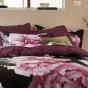 Logan & Mason Pipa Quilt Cover Set | Queen Bed | Rose