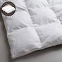 Logan & Mason 80/20 Goose Down and Feather Quilt | Double Bed