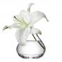 LSA Flower Sprig Vase 11cm | Clear