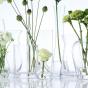 LSA Flower Sprig Vase 11cm | Clear