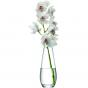 LSA Flower Tall Stem 29cm Vase | Clear
