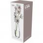 LSA Flower Tall Stem 29cm Vase | Clear