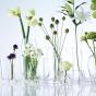 LSA Flower Tall Stem 29cm Vase | Clear