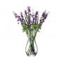 LSA Flower Grand Posy Vase 32cm | Clear
