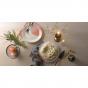 Royal Doulton Signature 1815 Plate Set 2 | 23cm | Coral