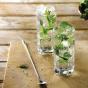 Royal Doulton R&D Collection Neptune Highball Drinking Glasses | Set of 2