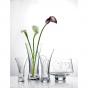 Royal Doulton Promises Two Hearts Vase | 29cm
