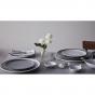 Royal Doulton ED Ellen DeGeneres 16pcs Dinner Ware Set Charcoal Grey Lines