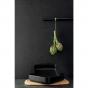 Scanpan Techniq Roaster + Rack