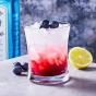 Strahl Design + Contemporary Polycarbonate Rocks Tumbler 296ml