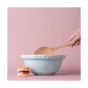 Mason Cash Mixing Bowl Powder Blue | 24cm/2L