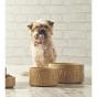Mason Cash Cane Water Bowl | 15cm/1 Litre