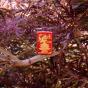 Zippo Eastern Dragon Design Metallic Red