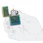 Zippo John Smith Gumbula Bird High Polish Teal