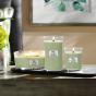 WoodWick Whipped Matcha Ellipse