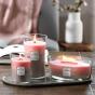 WoodWick Shoreline Trilogy Medium