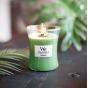 Woodwick Palm Leaf Medium