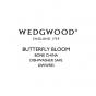 Wedgwood Butterfly Bloom Teaware Blue Teacup & Saucer