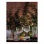 Waterford Crystal Gin Journey Olann Gin Balloon Pair