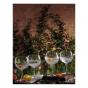 Waterford Crystal Gin Journey Aras Gin Balloon Pair