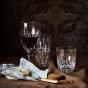 Waterford Crystal Ardan Mara Tumbler Pair