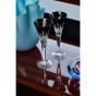 Waterford Lismore Black Flute Pair