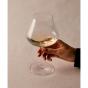 Plumm Three No.3 The Pinot Noir/Chardonnay Glass | Set of 2