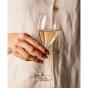 Plumm Everyday The Sparkling Glass | Set of 4