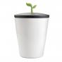 Chef'n EcoCrock Compost Bin