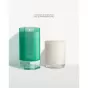Ecoya Keepsake Candle 3 | Green