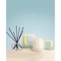 Ecoya Fragranced Reed Diffuser | Sea Salt & Coconut