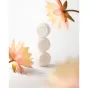 Ecoya Soy Wax Melts | Lotus Flower