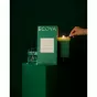 Ecoya Keepsake Reed Diffuser 3 | Green