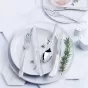 Stanley Rogers Albany Cutlery | Set of 30