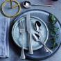 Stanley Rogers Modena Premium Cutlery Set | Formal Setting for 8 | 56 Pieces