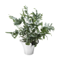 Georg Jensen Bloom Botanica Flower Pot | Medium
