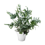 Georg Jensen Bloom Botanica Flower Pot | Large