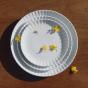 Georg Jensen Bernadotte Coupe Plate | 22.5cm