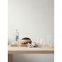 Orrefors Beer Tasting Kit | 4 Piece