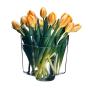Iittala Alvar Aalto Vase 16cm | Clear