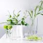 Iittala Alvar Aalto Vase 16cm | Clear