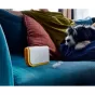 Joseph Joseph CleanTech 3-in-1 Pet Hair Cleaning Tool