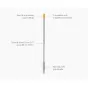Joseph Joseph CleanTech Telescopic Extension Pole | Silver