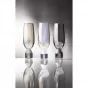 Tempa Ava Champagne Glass Charcoal | 2 Piece