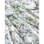 Private Collection Starlet Sage Quilt Cover Set | Queen Bed