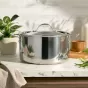 Anolon EverLast Tri-Ply Clad Stainless Steel Induction Covered Stockpot | 26cm/7.6L