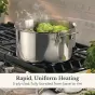 Anolon EverLast Tri-Ply Clad Stainless Steel Induction Covered Stockpot | 26cm/7.6L