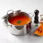 Essteele Eternita Stainless Steel Covered Stock Pot | 26cm/7.6L